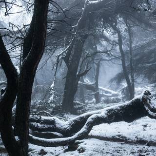 Winter England wallpaper