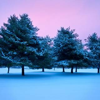 Winter USA wallpaper