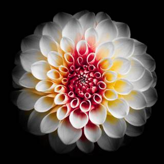 Galaxy S21 Ultra 4k wallpaper