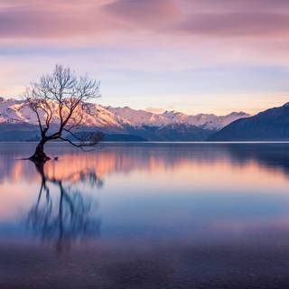 New Zealand wallpaper