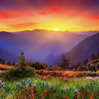 4k New Zealand wallpaper