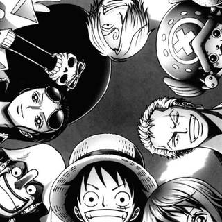 Luffy white wallpaper