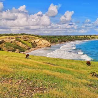 Honeymoon Bay wallpaper