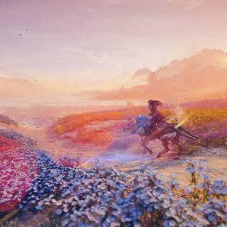 Horizon Zero 4k wallpaper