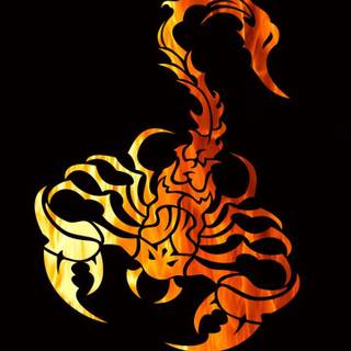 Scorpion 4k iPhone wallpaper