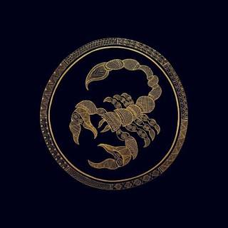 Scorpion 4k iPhone wallpaper