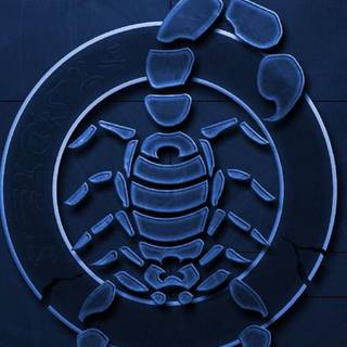 Scorpion 4k iPhone wallpaper