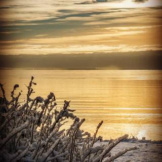 Winter ocean wallpaper