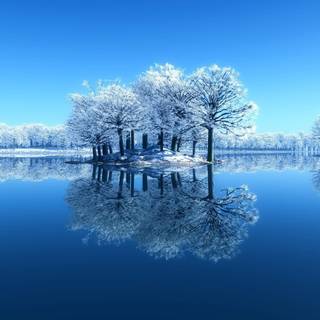 Winter ocean wallpaper