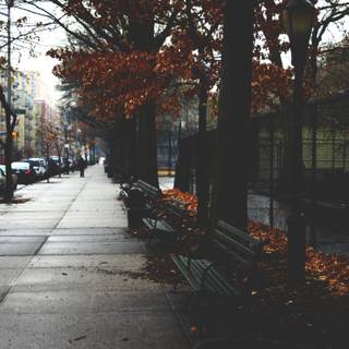 Autumn days 4k wallpaper