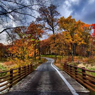 Autumn Macbook Pro wallpaper