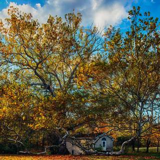 Autumn days 4k wallpaper