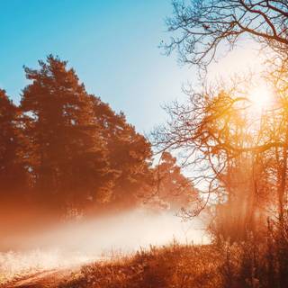 Autumn days 4k wallpaper