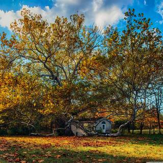 Autumn days 4k wallpaper