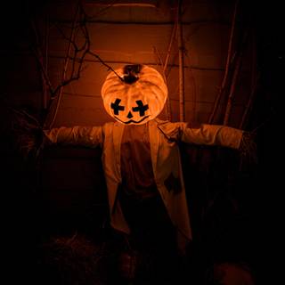 Pumpkin head Halloween wallpaper