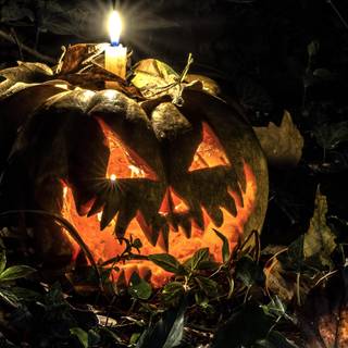 Pumpkin head Halloween wallpaper