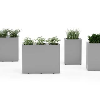 Planters wallpaper