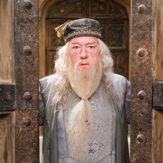 Michael Gambon wallpaper