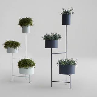 Planters wallpaper