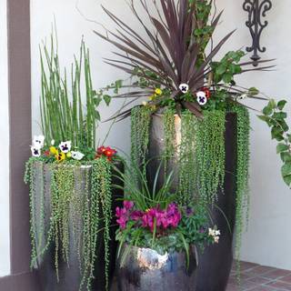 Planters wallpaper