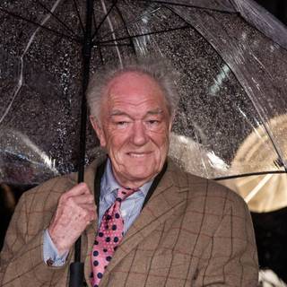 Michael Gambon wallpaper