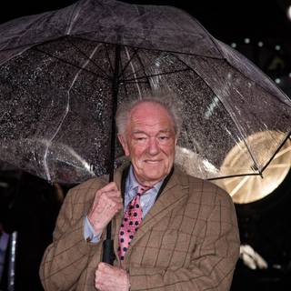 Michael Gambon wallpaper