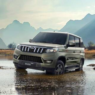 Bolero Neo wallpaper