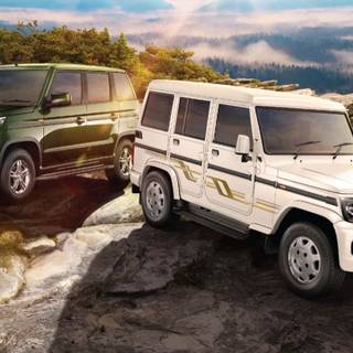 Bolero Neo wallpaper