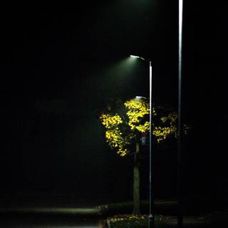 Streetlamp wallpaper