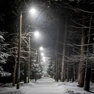 Streetlamp wallpaper