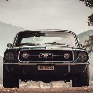 Mustang art iPhone wallpaper