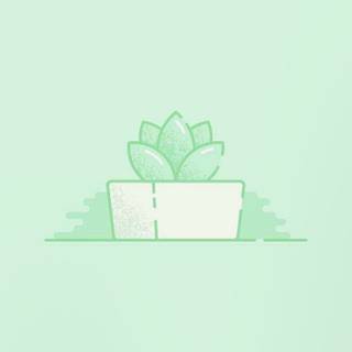 iPhone mint green wallpaper