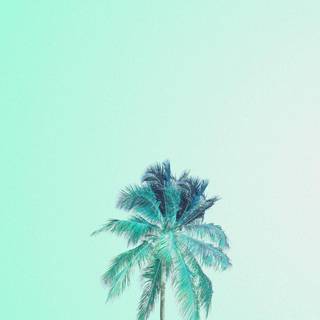 iPhone mint green wallpaper