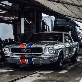 66 Mustang wallpaper