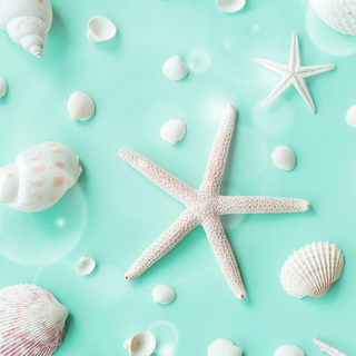 iPhone mint green wallpaper