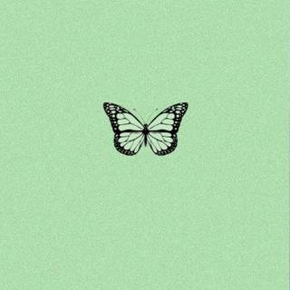 iPhone mint green wallpaper