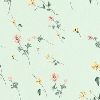 iPhone mint green wallpaper