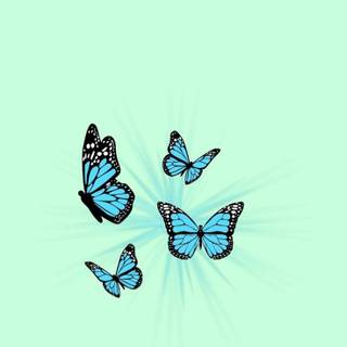 iPhone mint green wallpaper