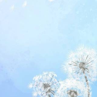 Light blue sky anime wallpaper