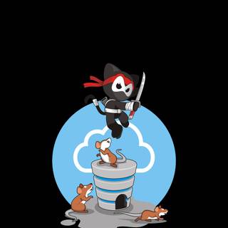 Ninja 4k phone wallpaper