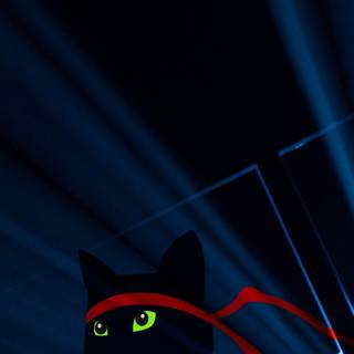 Ninja 4k phone wallpaper