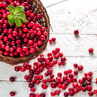 Winter fruit wallpaper