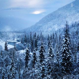 Winter Alaska wallpaper