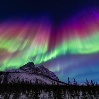 Winter Alaska wallpaper