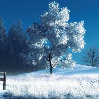 1366x768 winter wallpaper