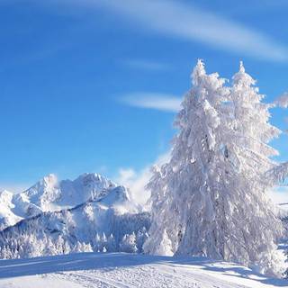 1366x768 winter wallpaper