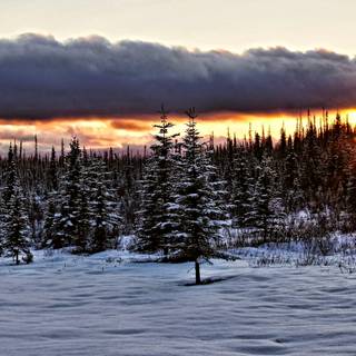 Winter Alaska wallpaper