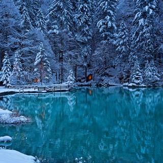 1366x768 winter wallpaper