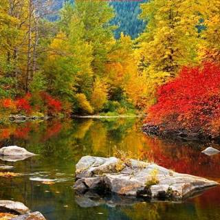 1440x900 autumn wallpaper