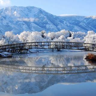 1366x768 winter wallpaper